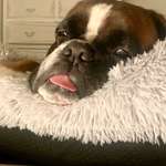 Ersteller:in Christine Profilbild