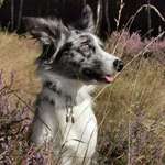 Ersteller:in Jasmin Profilbild