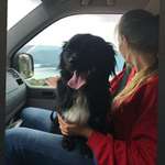 Ersteller:in Beekje Profilbild