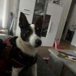 Ersteller:in Amina Profilbild