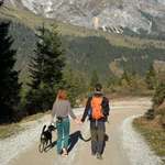 Ersteller:in Katie Profilbild