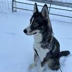 Ersteller:in Sarah Profilbild