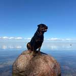 Ersteller:in Marco Profilbild