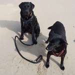 Ersteller:in Tatjana Profilbild