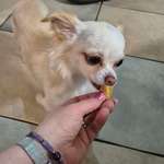 Gekochtes-Beitrag-Bild