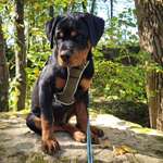 Ersteller:in Klaudia Profilbild