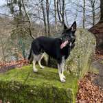 Ersteller:in Laura Profilbild