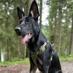 Ersteller:in Laura Profilbild