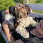 Ersteller:in Sandra Profilbild