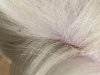 Was kann ich tun?-Beitrag-Bild