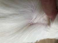 Was kann ich tun?-Beitrag-Bild