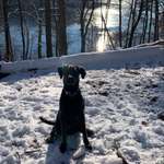 Ersteller:in Steffi Profilbild