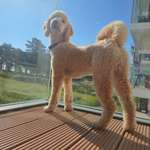 Ersteller:in Kerstin Profilbild