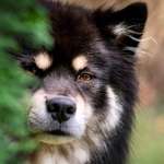 Ersteller:in Michaela Profilbild