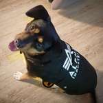 Ersteller:in Eileen Profilbild