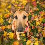 Ersteller:in Celina Profilbild