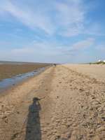 Hundeauslaufgebiet-Hundestrand Schillig-Bild