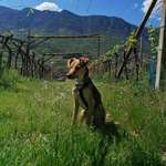 Ersteller:in Luise und Profilbild