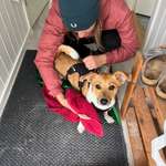 Ersteller:in Sandra Profilbild