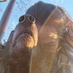 Ersteller:in Alice Profilbild