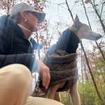 Ersteller:in Susanne Profilbild