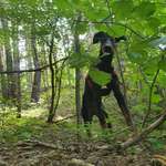 Ersteller:in Mareike Profilbild