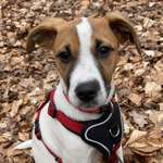 Ersteller:in Martina Profilbild