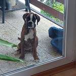 Ersteller:in Ann Kathrin Profilbild