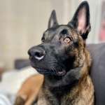 Ersteller:in Stephanie Profilbild