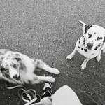 Ersteller:in Bianca Profilbild