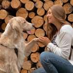 Ersteller:in Lilly Profilbild