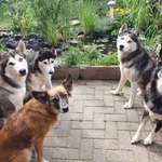 Ersteller:in Hendrik Profilbild