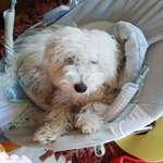 Ersteller:in Sabine Profilbild