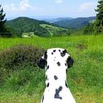 Ersteller:in Kerstin Profilbild