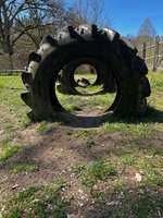 Hundeauslaufgebiet-Hundespielplatz am Bärenwald-Bild
