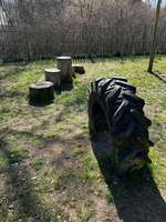 Hundeauslaufgebiet-Hundespielplatz am Bärenwald-Bild