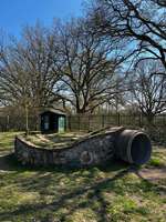 Hundeauslaufgebiet-Hundespielplatz am Bärenwald-Bild