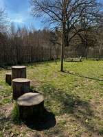 Hundeauslaufgebiet-Hundespielplatz am Bärenwald-Bild