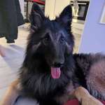 Ersteller:in Ronja Profilbild