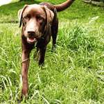 Ersteller:in Anna Profilbild