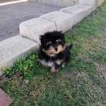 Ersteller:in Kevin Profilbild