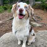 Ersteller:in Jana Profilbild