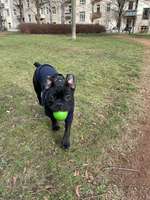 Fotowettbewerb-Beitrag-Bild