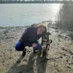 Ersteller:in Anika Profilbild