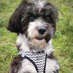 Ersteller:in Yvonne Profilbild