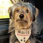 Ersteller:in Gitta Profilbild