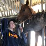 Ersteller:in Shanice Profilbild