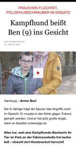 Kampfhund Attacke in Hamburg-Beitrag-Bild