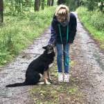 Ersteller:in Maibi Profilbild