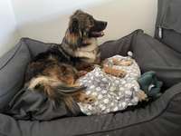 Angst gegenüber Partner-Beitrag-Bild